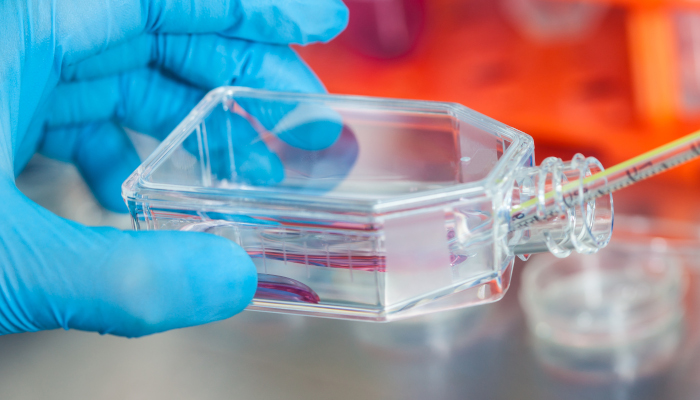 Cell Culture Expanding and Banking